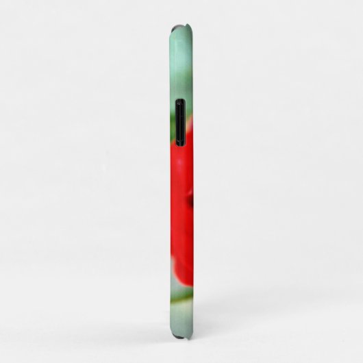 Herrliche rote Rose mit Morgentauben Case-Mate iPhone Hülle (Hinten/Rechts)