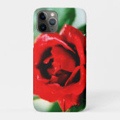 Herrliche rote Rose mit Morgentauben Case-Mate iPhone Hülle (Rückseite)
