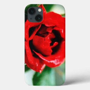 Herrliche rote Rose mit Morgentauben Case-Mate iPhone Hülle