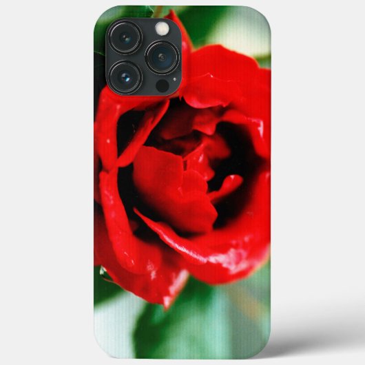 Herrliche rote Rose mit Morgentauben Case-Mate iPhone Hülle (Rückseite)