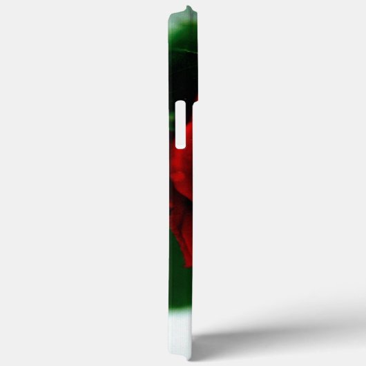 Herrliche rote Rose mit Morgentauben Case-Mate iPhone Hülle (Rückseite / Rechts)