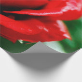 Herrliche rote Rose mit Morgentauben Geschenkpapier (Ecke)