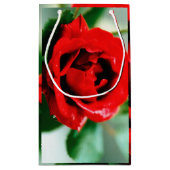 Herrliche rote Rose mit Morgentauben Kleine Geschenktüte (Rückseite)