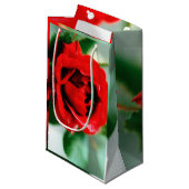 Herrliche rote Rose mit Morgentauben Kleine Geschenktüte (Vorderseite Schrägansicht)