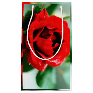 Herrliche rote Rose mit Morgentauben Kleine Geschenktüte