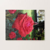Herrliche Rote Rosen Puzzle (Horizontal)