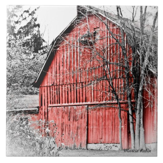 Herrliche rote Scheune Fliese (Vorderseite)