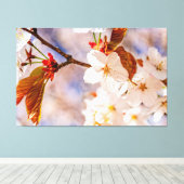 Herrliche Sakura-Blume. Hanami-Frühlingszeit Leinwanddruck (Insitu (Holzboden))