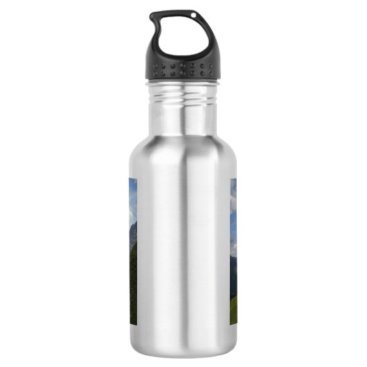 Herrliche Schweizer Landschaft Trinkflasche (Rückseite)