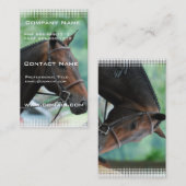 Herrliche Warmblood PferdeVisitenkarte Visitenkarte (Vorne/Hinten)