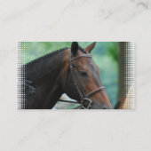 Herrliche Warmblood PferdeVisitenkarte Visitenkarte (Rückseite)