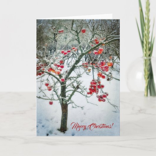 Herrliche Weihnachtsgrußkarte! Karte (Vorderseite)