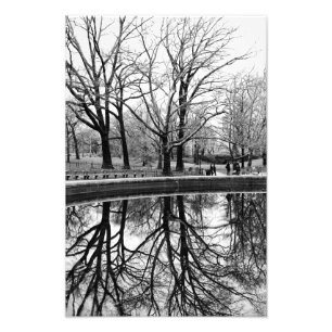 Herrliche Winter-Landschaft im Central Park Fotodruck