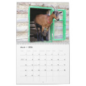 Herrliche Ziegen-12-monatiger Kalender für 2016 (Mär 2026)