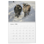 Herrliche Ziegen-12-monatiger Kalender für 2016 (Jan 2026)