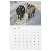 Herrliche Ziegen-12-monatiger Kalender für 2016 (Jan 2027)