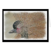 HERRLICHER AFRIKANISCHER KRAN (Vorderseite (Horizontal))