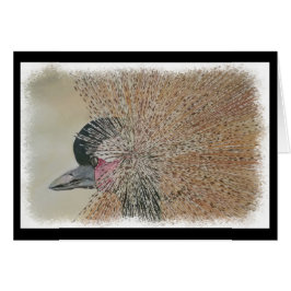 HERRLICHER AFRIKANISCHER KRAN