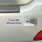 Herrlicher afrikanisches Grau-Papagei Autoaufkleber (Auf Auto)