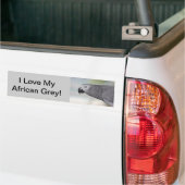 Herrlicher afrikanisches Grau-Papagei Autoaufkleber (Auf Lkw)