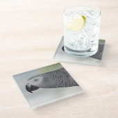 Herrlicher afrikanisches Grau-Papagei Glasuntersetzer (Schrägansicht)