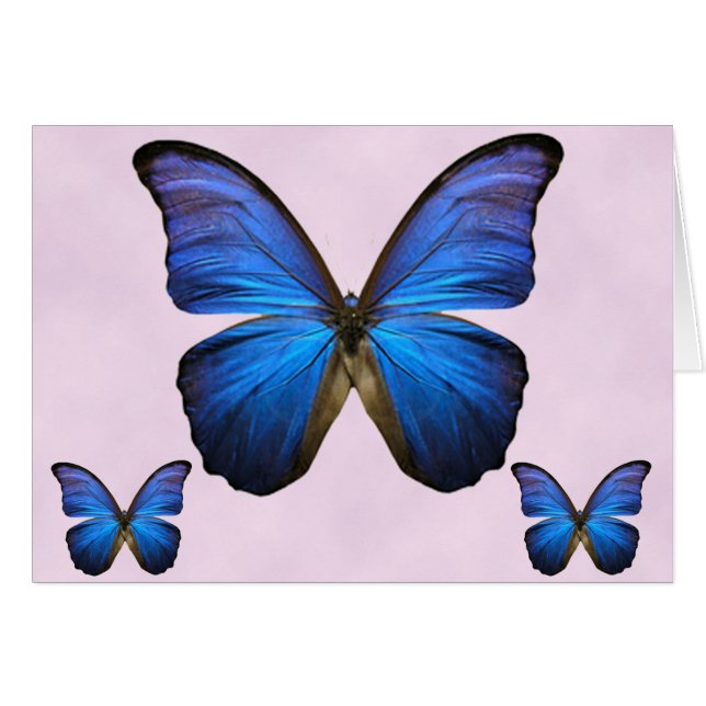Herrlicher blauer Morpho Schmetterling (Vorderseite (Horizontal))