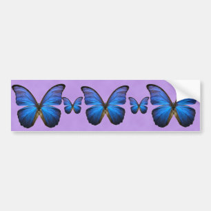 Herrlicher blauer Morpho Schmetterling Autoaufkleber