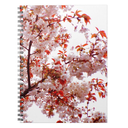 HERRLICHER BLUMENSTRAUSS DER BLÜTE NOTIZBLOCK (Vorderseite)