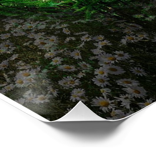 Herrlicher Boardwalk durch einen Wald im Wald Poster (Ecke)