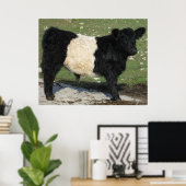 Herrlicher Galloway Steer Cutout Beltie Farm Poster (Heimbüro)