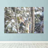 Herrlicher Kardinal Leinwanddruck (Insitu (Holzboden))