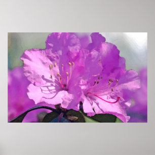 Herrlicher Lavendel Poster