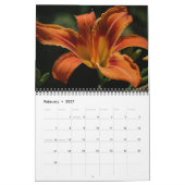 Herrlicher Lilien-Foto-Kalender Kalender (Feb 2027)