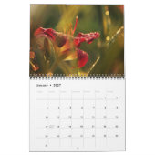 Herrlicher Lilien-Foto-Kalender Kalender (Jan 2027)