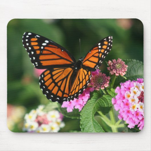 Herrlicher Monarchfalter-Entwurf Mousepad (Vorne)