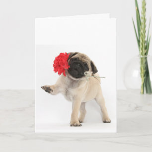 Herrlicher Mops-Welpe mit roter Gartennelke Feiertagskarte