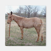 Herrlicher Mule! Magnet (Vorne)