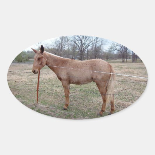 Herrlicher Mule! Ovalkleber Ovaler Aufkleber (Vorderseite)