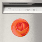 Herrlicher Orange Rose Bud Magnet (In Situ (Geschirrspüler))