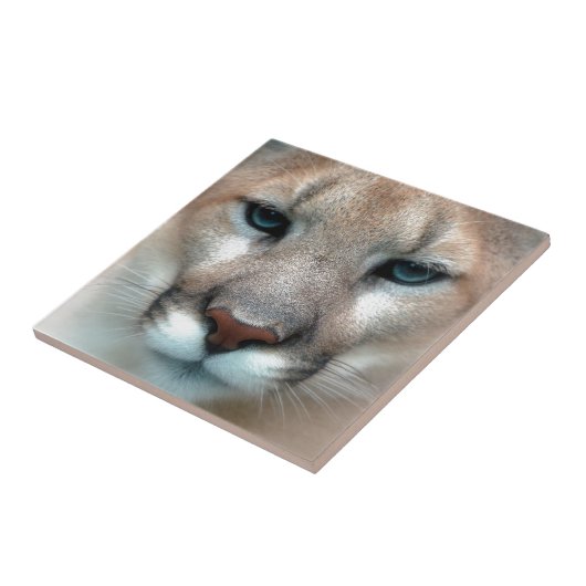 HERRLICHER PUMA FLIESE (Seite)