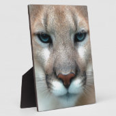 HERRLICHER PUMA FOTOPLATTE (Seite)