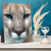 HERRLICHER PUMA FOTOPLATTE (Seite)