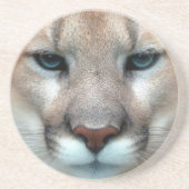 HERRLICHER PUMA GETRÄNKEUNTERSETZER (Vorne)