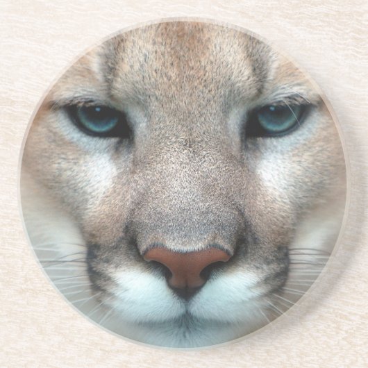 HERRLICHER PUMA GETRÄNKEUNTERSETZER (Vorne)