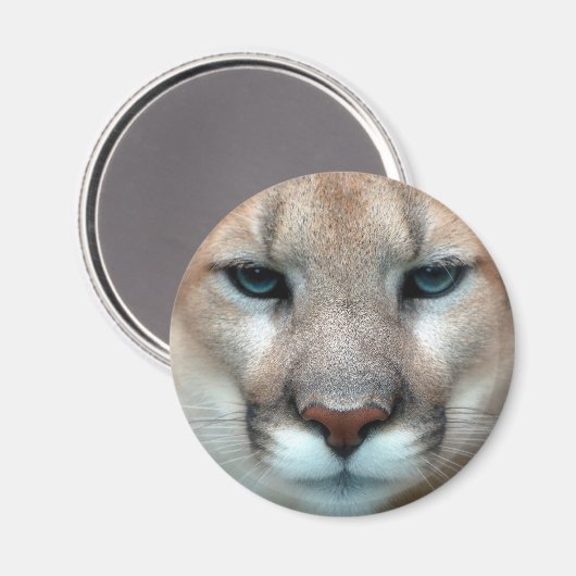 HERRLICHER PUMA MAGNET (Vorderseite/Rückseite)