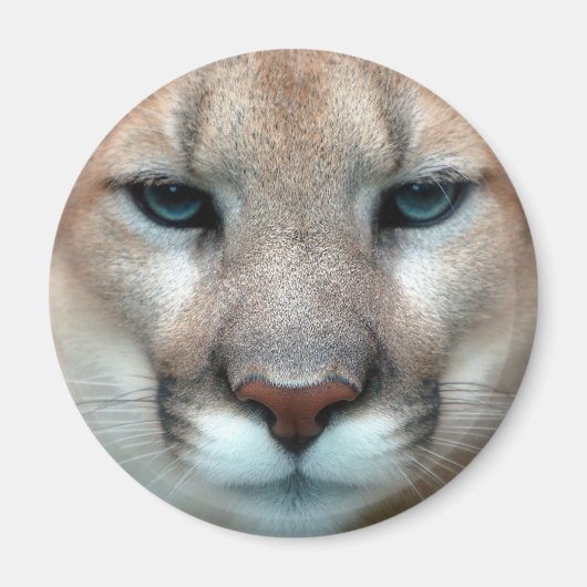 HERRLICHER PUMA MAGNET (Vorne)