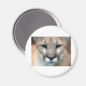 HERRLICHER PUMA MAGNET (Vorderseite/Rückseite)