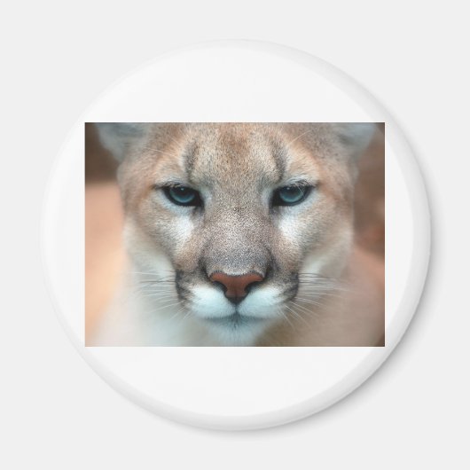 HERRLICHER PUMA MAGNET (Vorne)