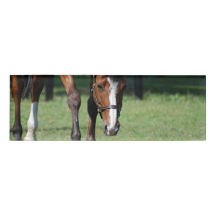 Herrlicher Quarterhorse Namenschild