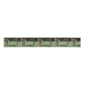 Herrlicher Quarterhorse Ripsband (Vorderseite)